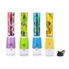 Mini juicer blender shake n take